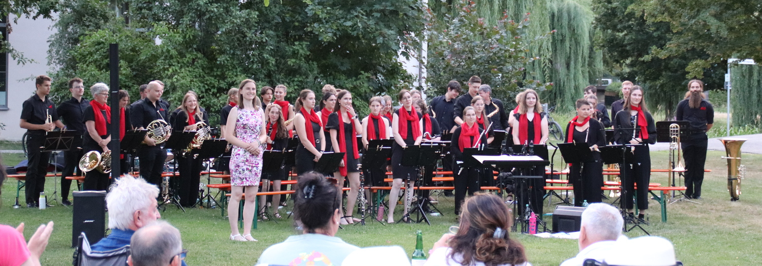 2026 Picknick Konzert Titel